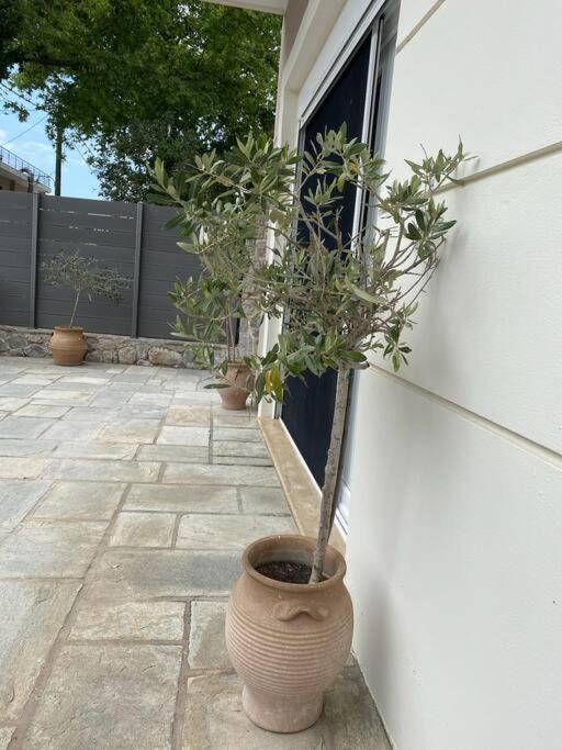 Villa Oleander Agios Nikolaos Loutra Edipsou Bagian luar foto