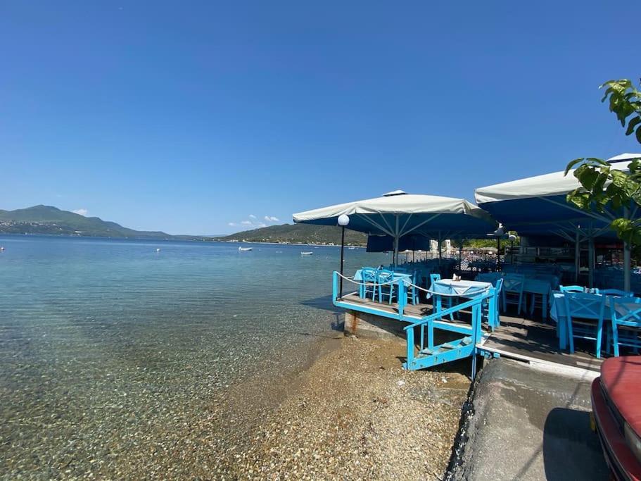 Villa Oleander Agios Nikolaos Loutra Edipsou Bagian luar foto