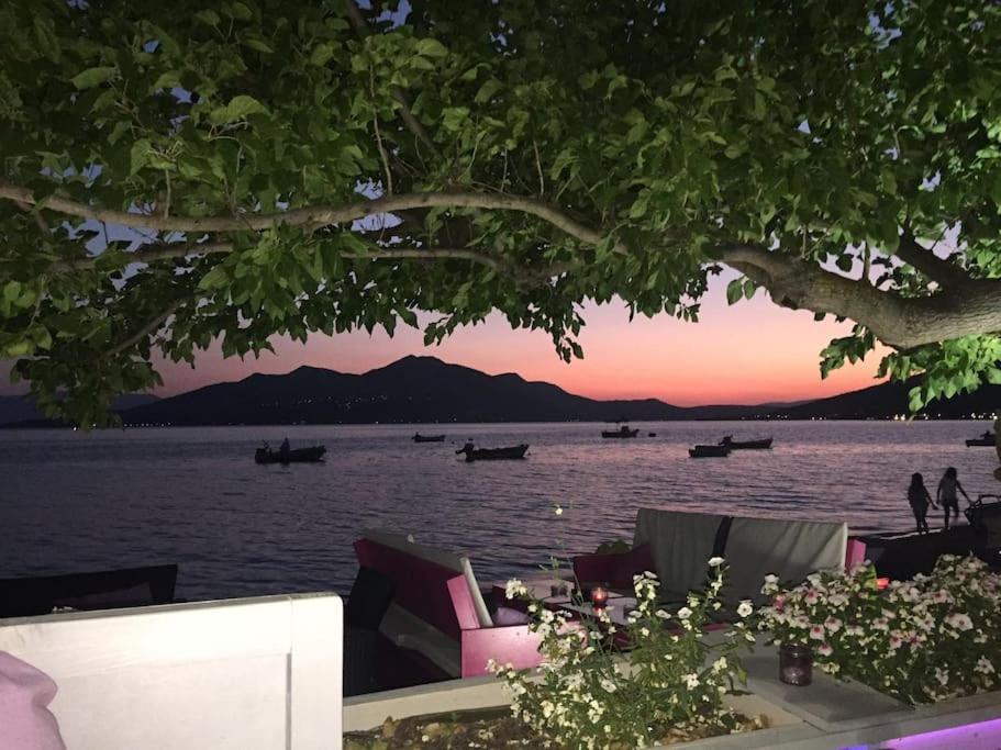 Villa Oleander Agios Nikolaos Loutra Edipsou Bagian luar foto